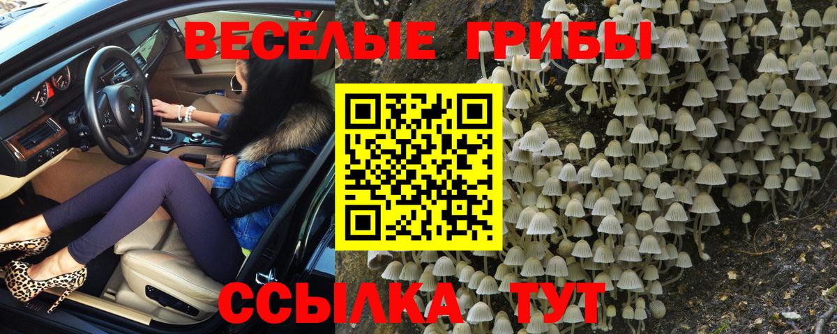 Усть-Илимск  Галлюциногенные грибы Cubensis  Вход с VPN  как найти закладки  Псилоцибиновые грибы мицелий 